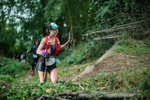 BIB: 
                            <button type="button" onclick="openModal(19432690)" class="btn btn-primary btn-sm float-right btn-popup" data-toggle="modal" data-target=".modal-high-quality">
                        <i class="fas fa-shopping-cart"></i> Add to Cart
                    </button>
                                            <button type="button" onclick="isThisMe(19432690, true)" class="btn btn-success btn-sm float-right btn-popup btn-isme hidden" data-toggle="tooltip" data-placement="bottom" title="นี่คือรูปของคุณใช่ไหม คลิกที่นี่เพื่อเอาเข้าอัลบั้ม">
                        <i class="fas fa-plus"></i> Add to album
                    </button>
                    <button type="button" onclick="isThisMe(19432690, false)" class="btn btn-warning btn-sm float-right btn-popup btn-isnotme hidden">
                        <i class="fas fa-ban"></i> Remove from album
                    </button>